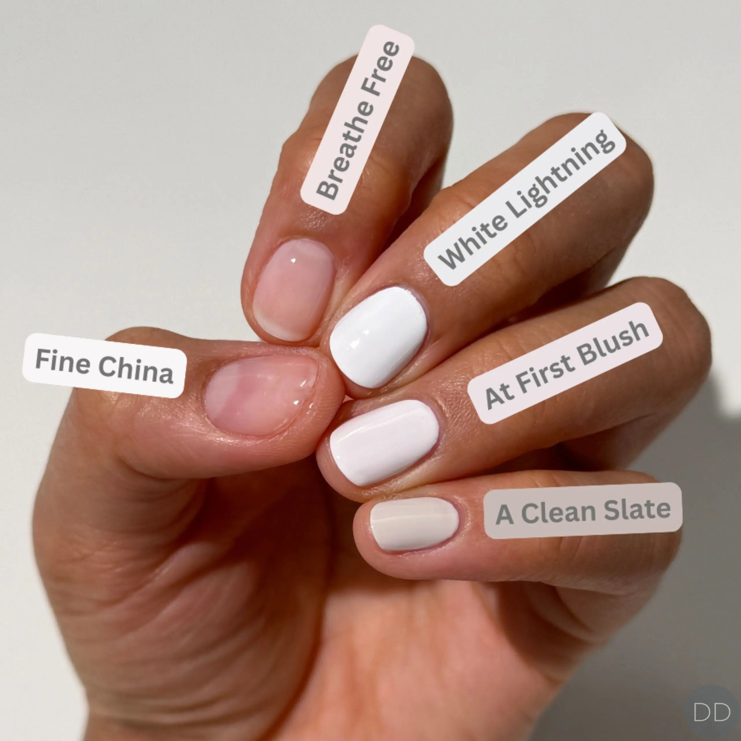 Dazzle Dry Australia & New Zealand FINE CHINA